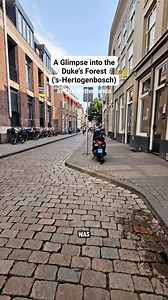 A sneak peak of 's-Hertogenbosch aka Den Bosch.✨️ #denbosch #netherlands #placestovisit #travel #city | In The Netherlands