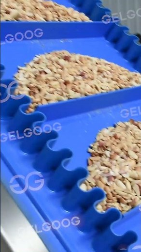 Peanut Butter Processing Line/ Peanut Paste Making Machine