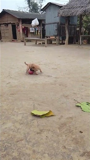 famous footballer cute messi