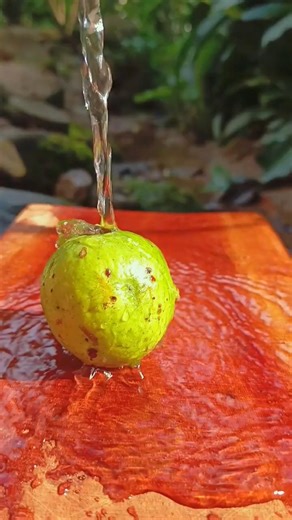 Guava pickle🤤😋 #food #recipe #masala #cooking #fruit #shorts