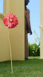 9.7K views · 29 reactions | Spring vibes are in full bloom in our latest collection arrivals. See what’s new now, in-store & online. #Suitsupply #FindYourOwnPerfectFit #Suits #Mensfashion | Suitsupply | Facebook