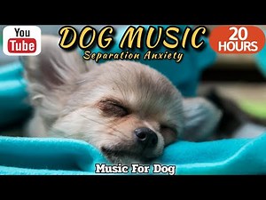 20 HOURS of Dog Calming Music🦮💖Relaxing Music for Dogs🐶🎵Separation Anxiety Relief Music⭐Healingmate