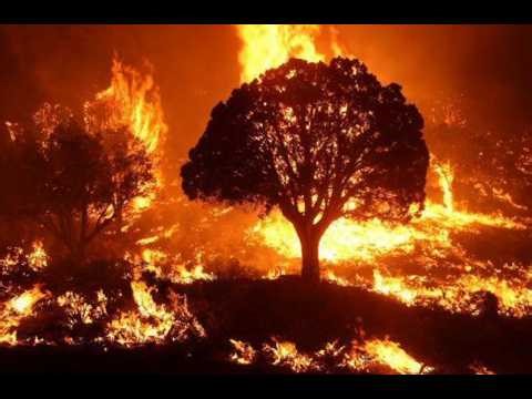 Holly Streams Chuzzle