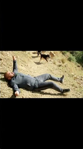 FITNESS GONE WRONG! 😂🐕 Dog Attack vs Solar Loadshedding | Funny Desi Video PART 1/2