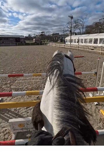 Petit enchaînement sans coupures ni musique :) #cso #gopro #showjumping #insta360