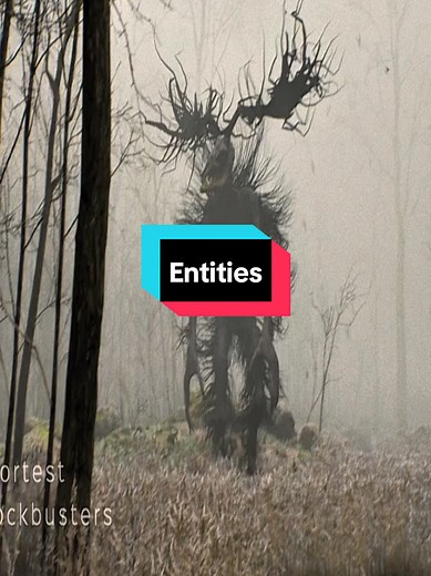 Entities on Earth: Creature Edits from Galacticos