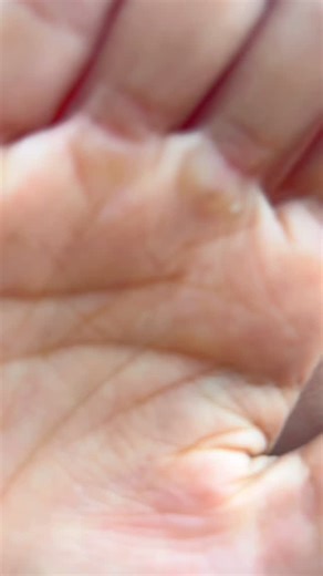 Deepali_babani on Instagram: "Celebrate New Year 2026 with DAYARAM prints✨ Fresh stock of sarees, cotton wear, dress materials, home linen, and more. Trusted since 1947 and loved across India for quality and comfort. Visit our Ashram Road store or shop online with All India delivery. . . #Dayaram #Since1947 #TraditionAndQuality #PureCotton #IndianTextiles #SareeCollection #EthnicWear #AhmedabadShopping #AshramRoad #HeritageBrand #IndiraGandhiSarees #NewYear2026 #FreshStock #ShopOnlineIndia #alli