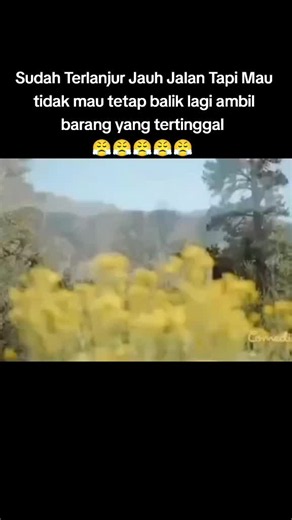 Mengambil Barang Tertinggal di Perjalanan Jauh