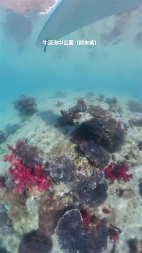 牛深海中公園 SUP