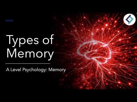 Types of Memory | Memory | A Level Psychology