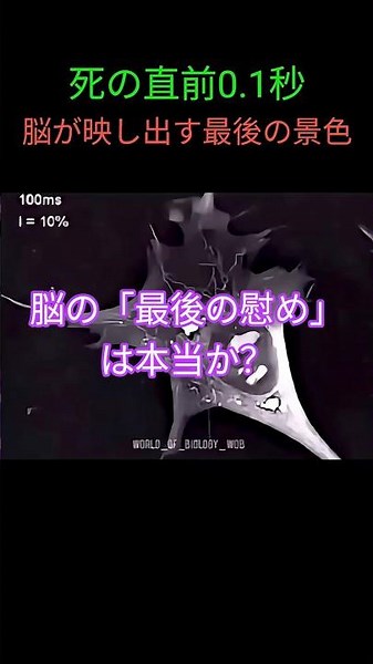 ​人が息を引き取る瞬間、脳は私たちに最後の慰めを与えるのか？