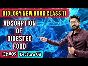 Absorption of Digested Food & Water | Class 11 Biology New Book