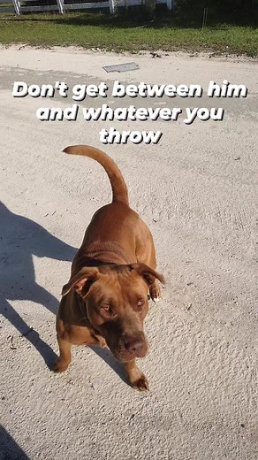 #Fetch #Catch | Tash Branch