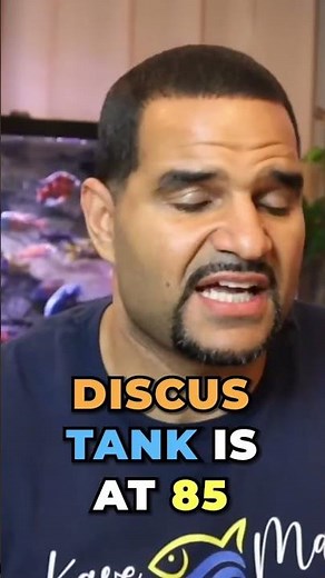 The Inkbird Temperature Controller is a must have when keeping expensive fish! 😊