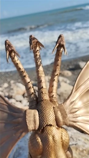 teaser Godzilla world of the monster #godzilla