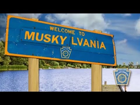 PFBC Musky Program