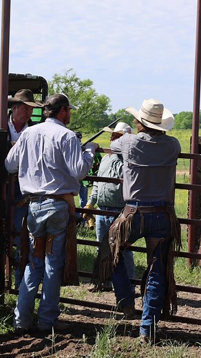 From the pastures to tbe pens 🤠 #agriculture #ranching #cowboy #cattle #worklife