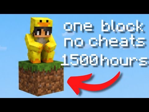 Everything I Needed to Beat Minecraft Came From This Block