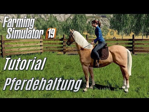 LS19: Pferdehaltung Tutorial - für Einsteiger