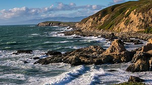 Surfer Bitten by Shark Near Bodega Bay