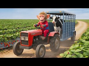 🐒🚜NANA the monkey and the thrilling rescue of the milk cow—his genius savior shocks everyone! 😱🐄