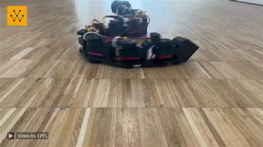 Flipper is a 1.2-meter-long robot snake crafted from 13 intricately designed 3D-printed pieces. It navigates and explores its surroundings using three distinct modes of motion: Inchworm, Concertina, and Undulation. The Inchworm mode enables precise inch-by-inch movement, the Concertina mode mimics the graceful accordion-like motion and in Undulation mode, Flipper effortlessly slithers with a sinusoidal movement. Video Credit: EPFL #technology #engineering #robots #robotics #snakerobot #epfl #wev