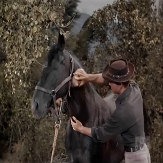 Bonanza S03E08 - The Friendship Part 6 #Bonanza #bonanza1959 #cowboy #cartwright #peliculas | Belen Norris