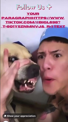 Hilarious Dog Beatbox Compilation! 🎤🐶😂 Must Watch!