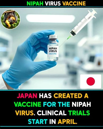 Tech Hub on Instagram: "A major breakthrough in global health! Japanese scientists have launched the first human trials of a Nipah virus vaccine, a deadly virus with mortality rates reaching up to 75%. If successful, this could become a powerful shield against future pandemics. Do you think this vaccine can change the future of global health? Comment below. #HealthNews #VaccineResearch #GlobalHealth #MedicalBreakthrough #ScienceNews FutureOfMedicine fblifestyle"