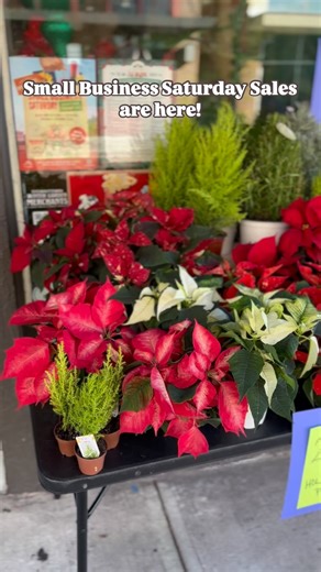 Ruby & Rust on Instagram: "Our biggest day of sales is here! Come in for sales on plants, fall decor, ornaments, last call merchandise, or.. if you just want to spin the prize wheel! #smallbusinesssaturday #shopsmallthischristmas #shopsmallshoplocal #wintergardenfl #downtownwintergarden #plantshopping #localboutique #localplantstore"