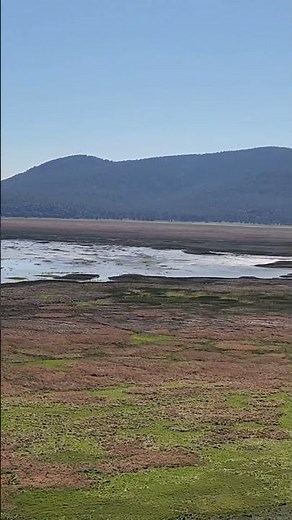 Mormon Lake, Arizona #summer