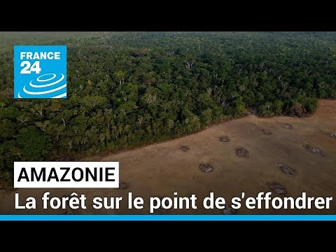 Deforestation in the Amazon: it is slowing down, but not enough • FRANCE 24