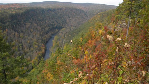 Potter-Tioga, Pennsylvania is a Best Destination for Fall Colors, says USA TODAY ranking