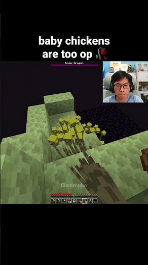 Minecraft Baby Chickens Moment