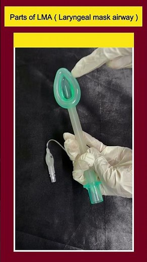 Parts of LMA (Laryngeal Mask Airway) Explained | Airway Management Device for Nursing Students