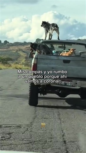 #corridosrmusic | corridos