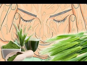 Gerstengras für schönere elsatische straffere Haut