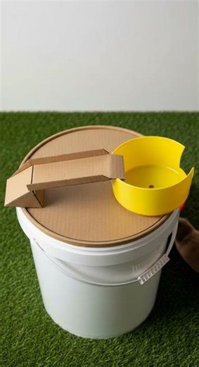 Best Toys For Your Pet Rats DIY Toys For Fun And Safe Playtime #PetRats #DIYToys #SmallPets