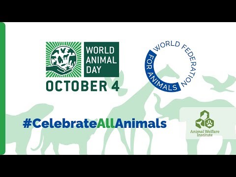 Animal Welfare Institute | #CelebrateAllAnimals – World Animal Day 2025