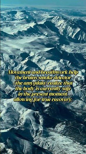 Healing Through Body Awareness | The Body Keeps the Score | Zyroverse
