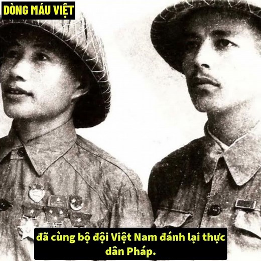 Phim Đào, Phở Và Piano Phân Biệt Chủng Tộc ?