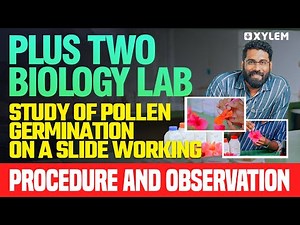 Plus Two Biology Lab | Study Of Pollen Germination On A Slide Working, Procedure And Observation