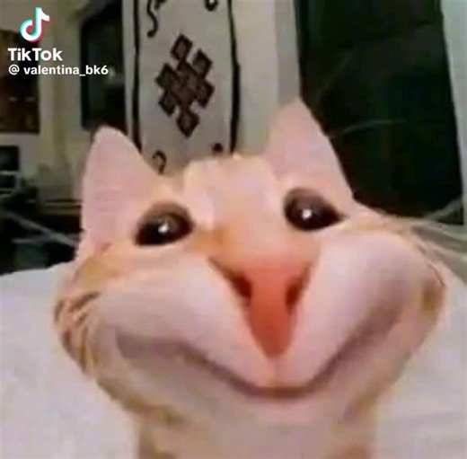 Videos de brisa mio (@brisa_beele) con “sonido original - brisa mio”