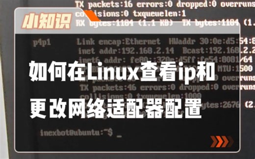在纳博特系统中，如何通过系统终端查看ip地址和更改ip地址