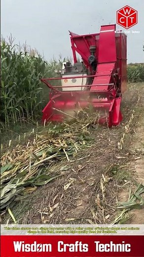 Corn silage harvester: roller cutter silage harvester in the field