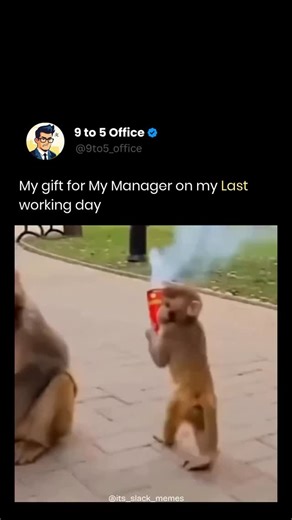 9 to 5 Office on Instagram: "Get lost now"