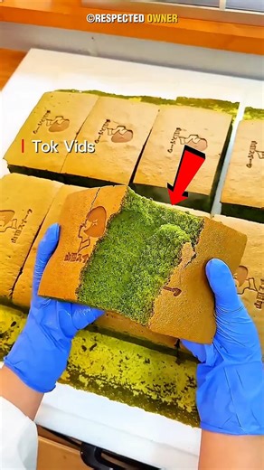 3 Fascinating Things About Japan 🇯🇵 #shorts #japan