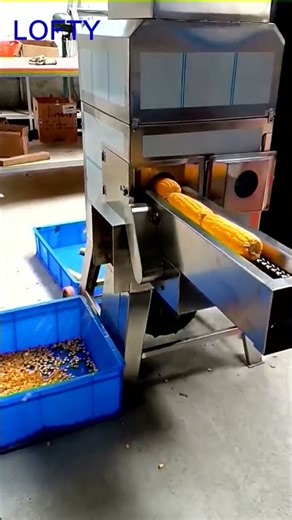 Maize Thresher Machine---Maize Sheller #restaurant #corn #food