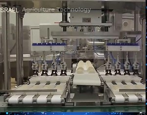 Automatic Rice Cooking Machine in Japan | Official_Flashboy | Facebook