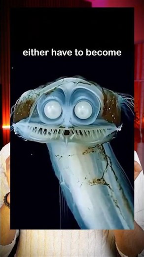 Samundar Ki Gehraai Mein Chhupa Yeh 'Alien' #shorts